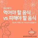 연성 동물병원 | 임산부가 먹어야 할 음식 vs 피해야 할 음식 | 카페인·회·커피 진짜 괜찮을까?