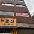 성인영어회화 | 성인 영어회화 학원 후기 영어 울렁증 극복한 더브루클린리포트