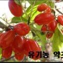 솔소리농장 이미지