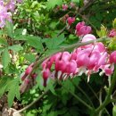 성호초등학교 이미지