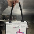 소망약국 | 임신준비#4ㅣ연세아이소망 시험관 1차ㅣ난자채취 23개 후기ㅣ시험관기록일기