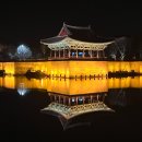 춘양교 | [경주] 경주 야경 투어 : 시간을 거닐다 – 가족과 함께 걷는 경주의 밤 후기