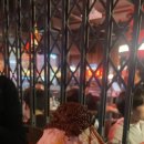 (주)팀코코리아 이미지