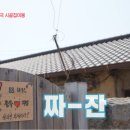 팔팔이네