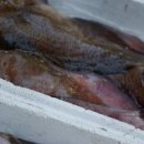 북평민속5일장 이미지