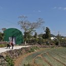 간세다리 이미지