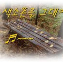 차와색소폰
