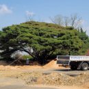 영흥축산 이미지