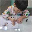 크리아트우남미술학원 | 서귀포아동미술 아이들의 예술 세상을 펼치다, 크리아트 제주중문원 체험기