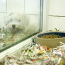 닥터멍동물병원 이미지