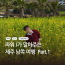매정공원 | 제주 남쪽 가볼만한곳 제주도 2박3일 여행 코스 Part1