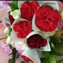 여주-0302 이미지