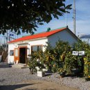 창천리 남당물 이미지