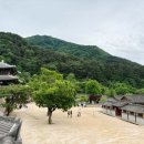 산북초등학교 | 황재균이 "찹쫀쿠네!" 외친 문경 찹쌀떡, 예약 안 하면 헛걸음합니다 전현무계획3