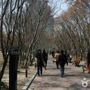 국채보상운동기념공원 이미지
