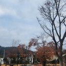 몽트커피