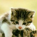 우향펜션 이미지