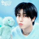 네스테이 이미지