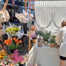 비암농장 이미지