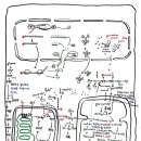 제8회 137억년 우주진화 8강-TCA cycle, 해당작용 이미지