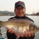 건천IC Daum카페