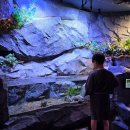 장흥작은도서관 | 장흥 아이랑 볼거리 놀거리 실내체험 정남진 물과학관 입장료 후기