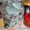 왕축농원 이미지