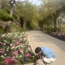 아가숲어린이집 이미지