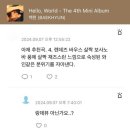 바우스