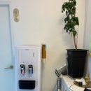 블랙벨트 GYM | 초보 직장인도 편하게 운동할 수 있는 곳 서대전주짓수 본사이코리아에서 진짜 주짓수 배우고 온 후기 !