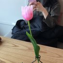 썸레스트 이미지