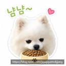 스타벅스 새문안로점