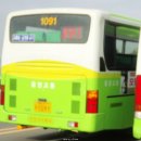 사파동221 이미지