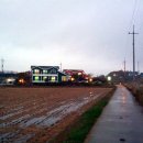 몽산포파인 이미지