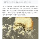 오행육기중화생식원 | 디저트 먹으면서 살 안찌는 방법 (빵폭식, 디저트 폭식 고치는 방법)