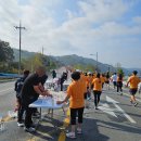 신탄진용정초등학교 | 대청호 마라톤 대회 5km 완주와 대회 후기