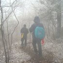 도남수산 이미지