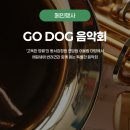 고Dog 이미지
