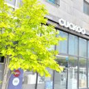 쿠쿠파주점 이미지