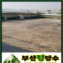 모라명성약국 이미지