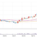 예스컴퍼니 이미지