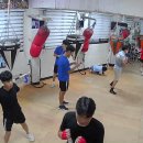 화랑 (권투) 이미지