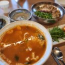 엄마손칼국수수제비