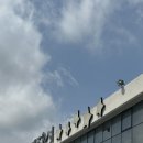 오성2단지 | 제주도 중문 맛집 제주오성 순살갈치조림, 2인세트로 푸짐하게 즐긴 후기