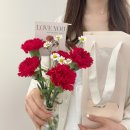 Flower소중한;날 이미지