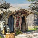 선녀와 강아지 이미지