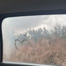 부어치킨예래점 | 2022.2.1-2.4 겨울/제주여행/2일차/히든클리프/풀문나이트/예원이네갈치/원앤온리/새별오름/금오름