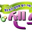 한일양행 Daum카페