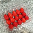 이마트24 능동점 네이버블로그