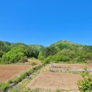 조교보건진료소 이미지